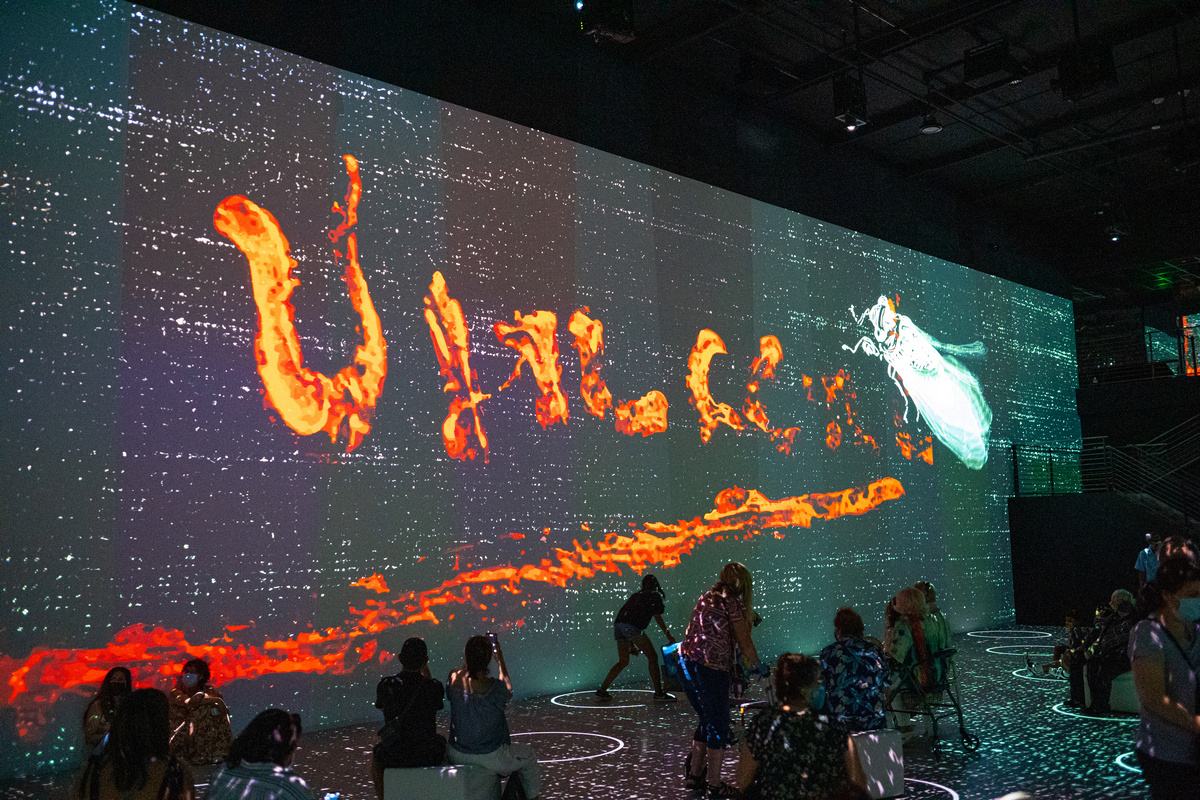 Immersive Van Gogh Orlando Show One Productions